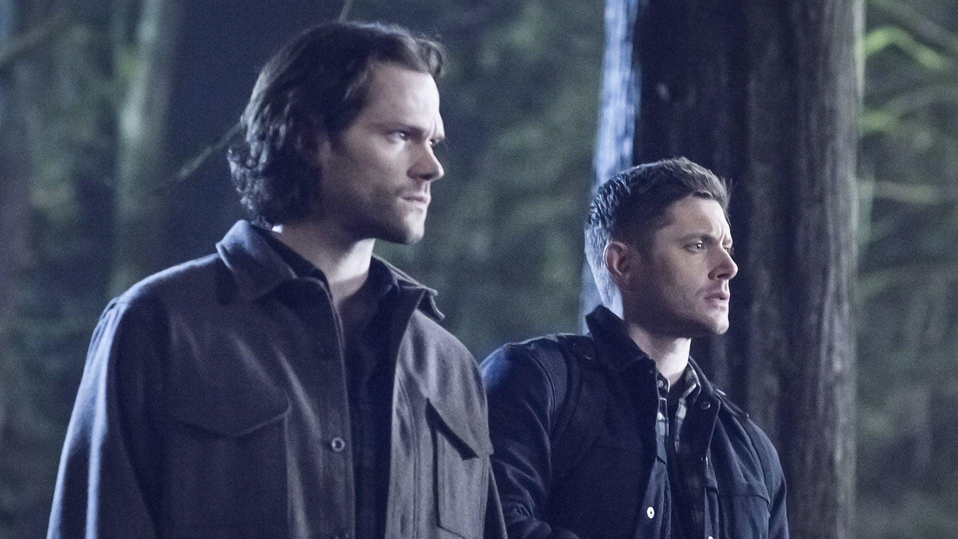 Supernatural (S14E16): Don't Go In the Woods Summary - Season 14