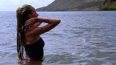 The Sole Survivor Summary