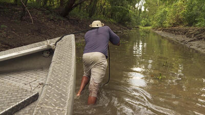 Gators in Low Places Summary