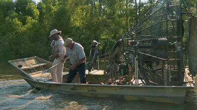 Swamp People Season 17 Episode Guide & Summaries and TV Show Schedule