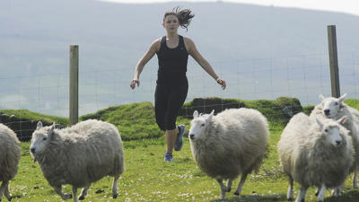 Get Your Sheep Together: Leg #3 Summary