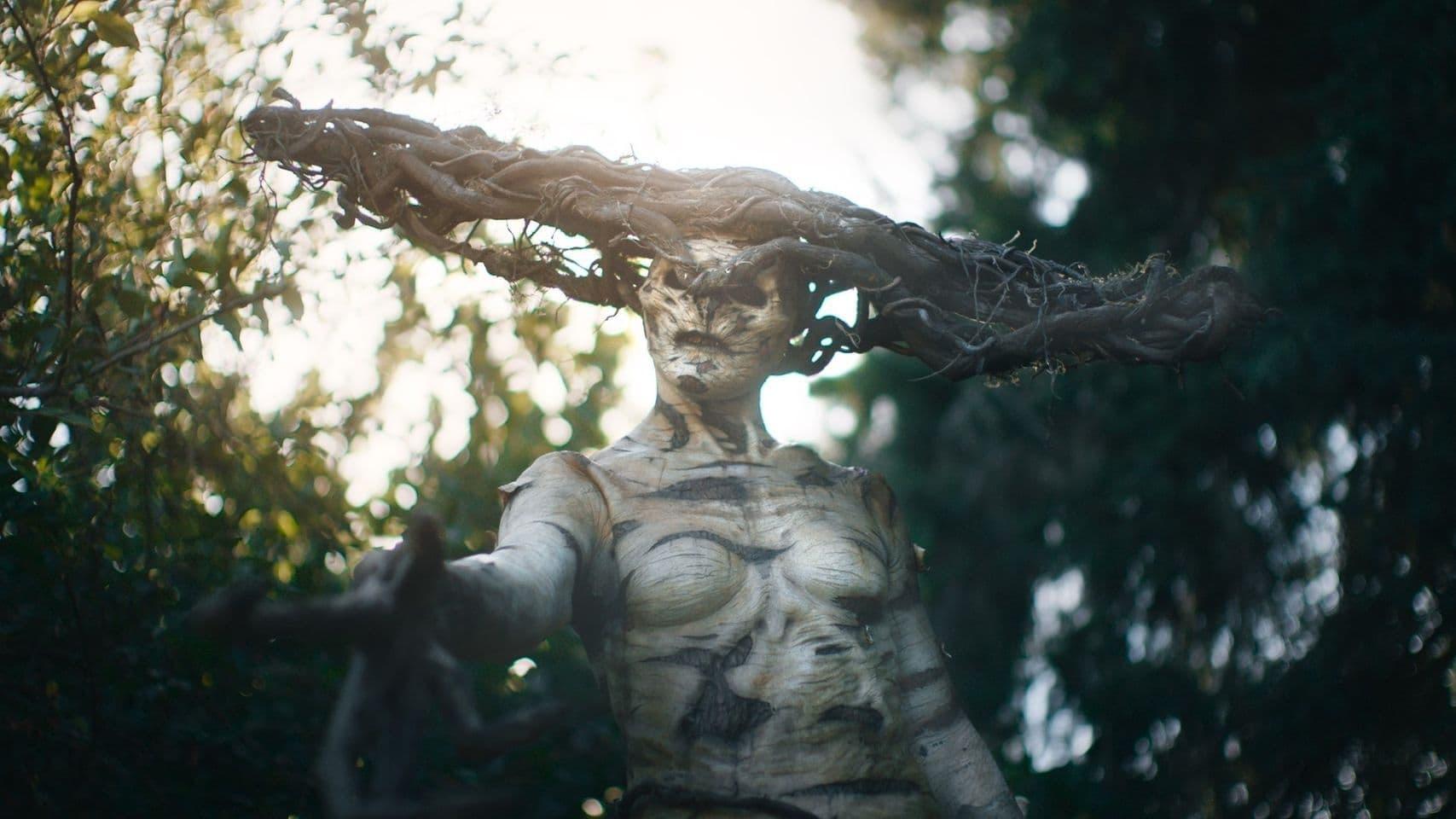 The Birch (S02E03) Cherry Blossom Summary Season 2 Episode 3 Guide