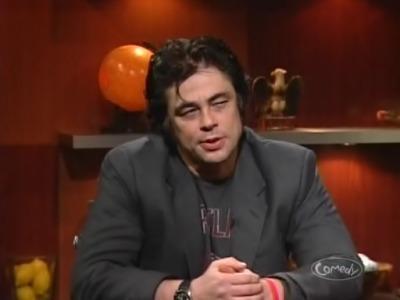 Benicio Del Toro  Summary
