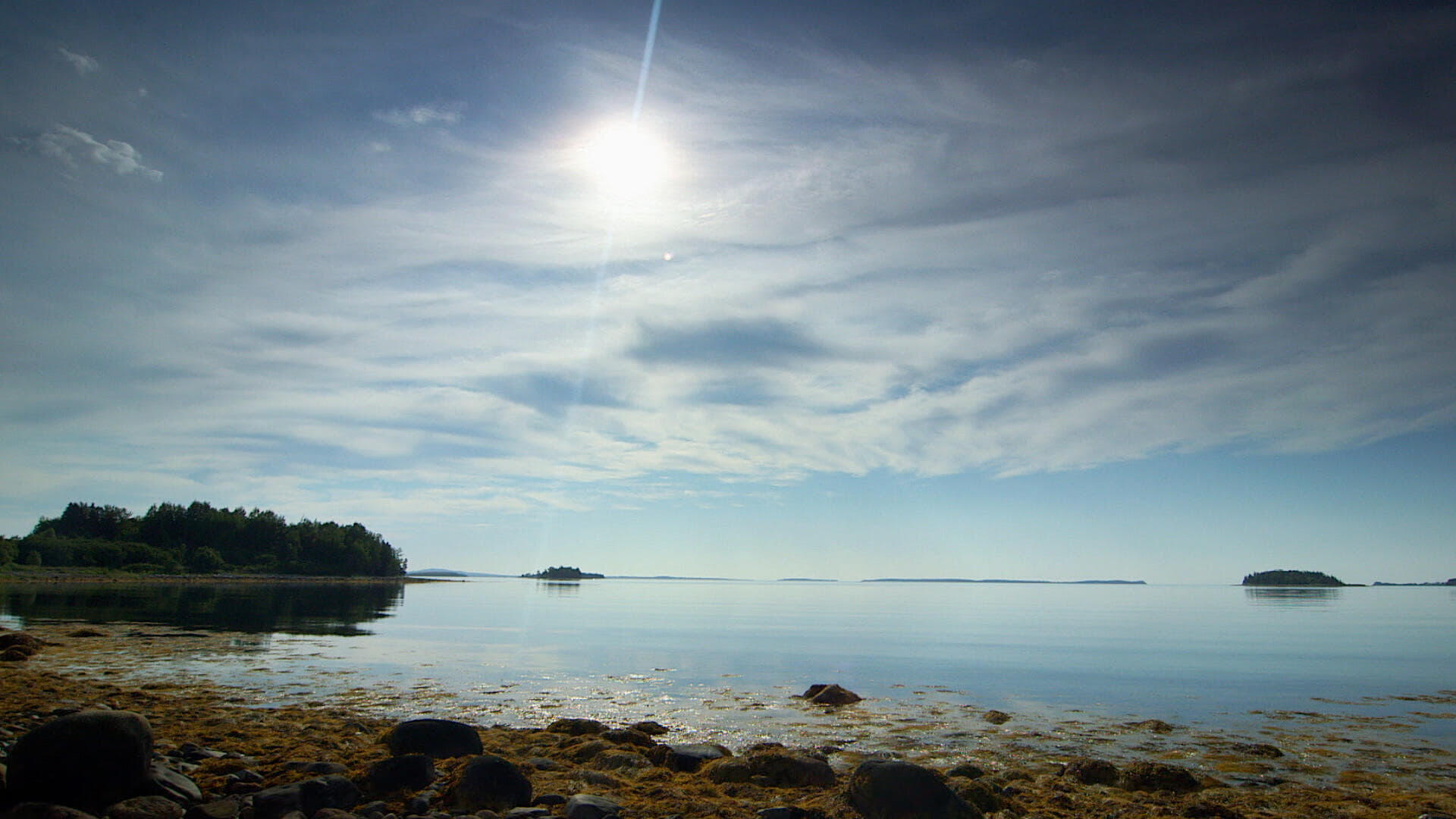 The Curse of Oak Island (S10E15) Wood You Believe It? Summary Season