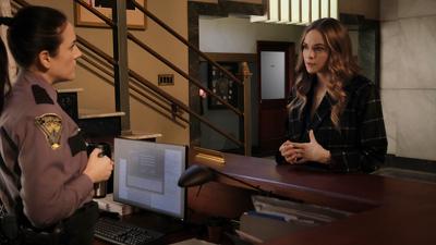 The People V. Killer Frost Summary