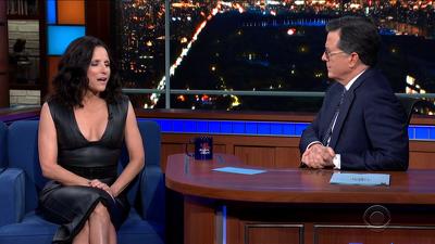 Julia Louis-Dreyfus Summary
