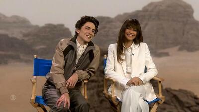 Timothée Chalamet, Zendaya Summary