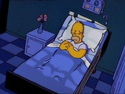 Homer's Triple Bypass Summary