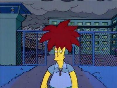 Sideshow Bob Roberts Summary