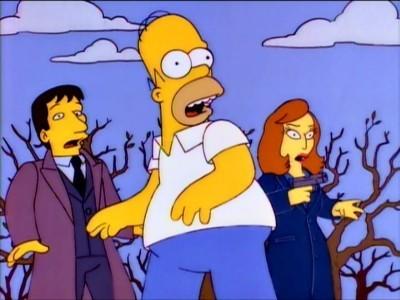 The Springfield Files Summary