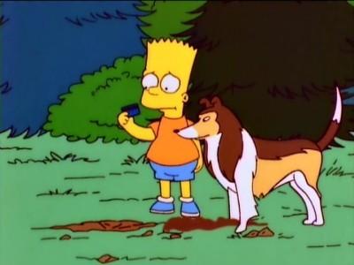 The Canine Mutiny Summary