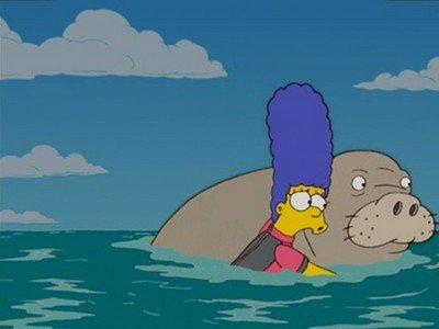 The Bonfire of the Manatees Summary