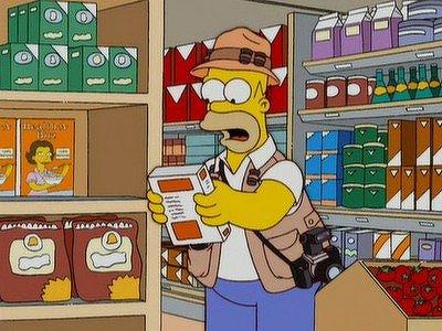 Homerazzi Summary
