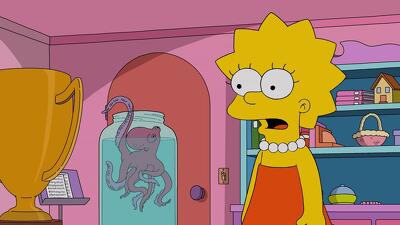 My Octopus and a Teacher Summary