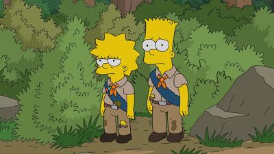 Lisa The Boy Scout Summary