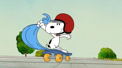 Déjà Beagle Summary