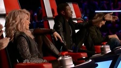 The Blind Auditions Continued, Part 6 Summary