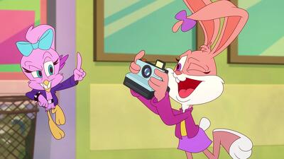 Whatever Happened to Babsy Bunny? Summary