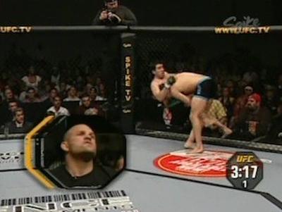 The Ultimate Fighter Finale Summary