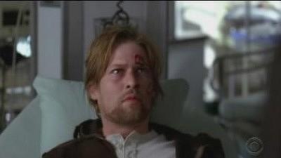 The Thing With Feathers Summary