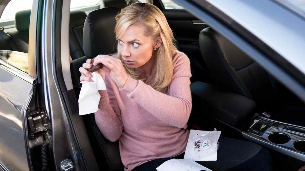 The Guest Book Season 2 Episode Guide & Summaries and TV Show Schedule